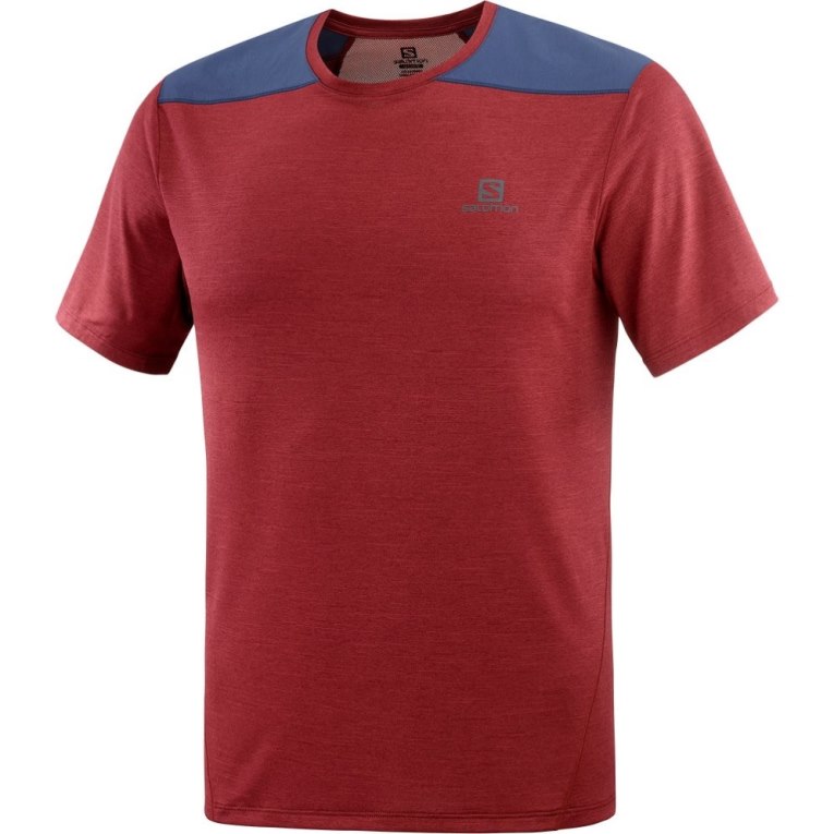 Dark Red / Navy Salomon Outline Short Sleeve Men's T-Shirts | IE PG8405